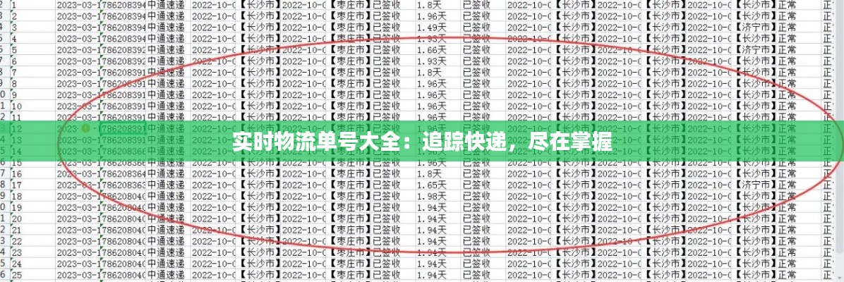 实时物流单号大全：追踪快递，尽在掌握