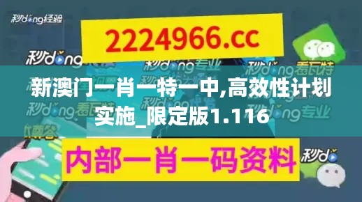 新澳门一肖一特一中,高效性计划实施_限定版1.116