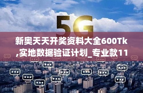 新奥天天开奖资料大全600Tk,实地数据验证计划_专业款110.847