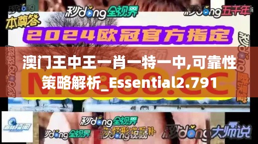 澳门王中王一肖一特一中,可靠性策略解析_Essential2.791