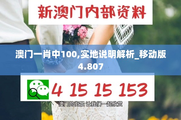 澳门一肖中100,实地说明解析_移动版4.807