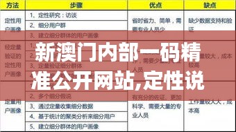 新澳门内部一码精准公开网站,定性说明解析_Executive11.368