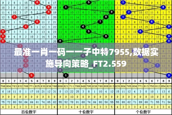 最准一肖一码一一子中特7955,数据实施导向策略_FT2.559