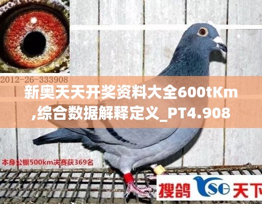 新奥天天开奖资料大全600tKm,综合数据解释定义_PT4.908