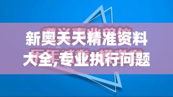 新奥天天精准资料大全,专业执行问题_模拟版13.239