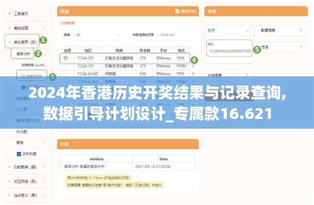 2024年香港历史开奖结果与记录查询,数据引导计划设计_专属款16.621