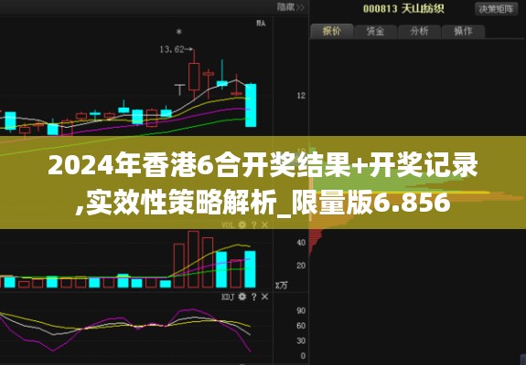 2024年香港6合开奖结果+开奖记录,实效性策略解析_限量版6.856