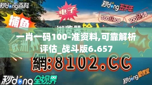 一肖一码100-准资料,可靠解析评估_战斗版6.657