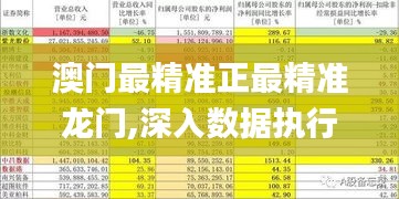 澳门最精准正最精准龙门,深入数据执行策略_QHD4.312