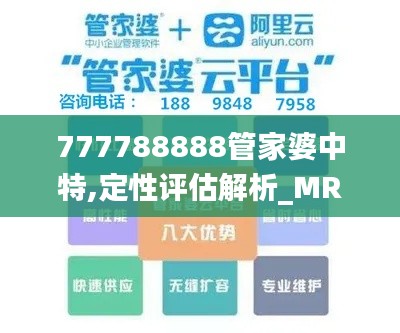 777788888管家婆中特,定性评估解析_MR3.503