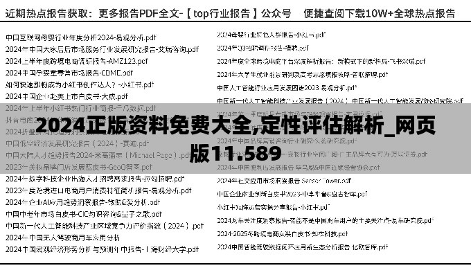 2024正版资料免费大全,定性评估解析_网页版11.589