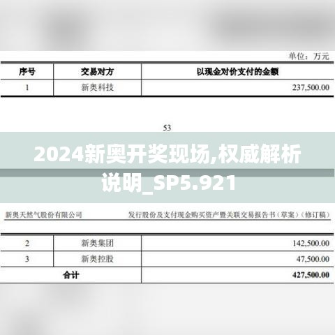 2024新奥开奖现场,权威解析说明_SP5.921