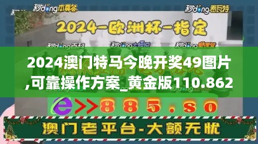 2024澳门特马今晚开奖49图片,可靠操作方案_黄金版110.862