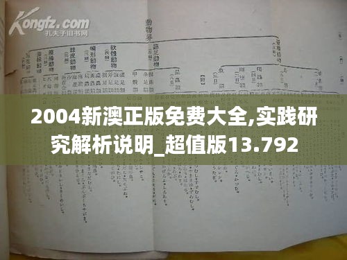 2004新澳正版免费大全,实践研究解析说明_超值版13.792