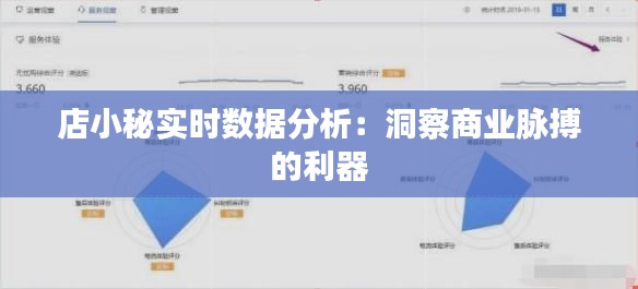 店小秘实时数据分析：洞察商业脉搏的利器