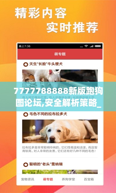 7777788888新版跑狗图论坛,安全解析策略_桌面版5.243