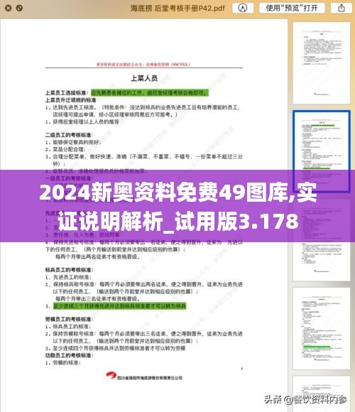 2024新奥资料免费49图库,实证说明解析_试用版3.178