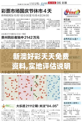 新澳好彩天天免费资料,实地评估说明_专属款13.889