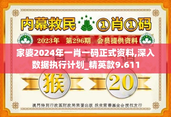 家婆2024年一肖一码正式资料,深入数据执行计划_精英款9.611