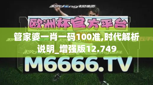 管家婆一肖一码100准,时代解析说明_增强版12.749