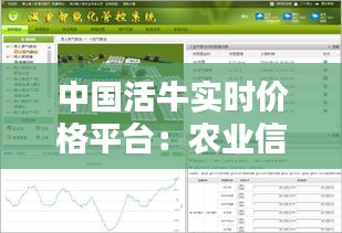 中国活牛实时价格平台：农业信息化时代的创新利器