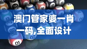 澳门管家婆一肖一码,全面设计解析策略_旗舰版8.772