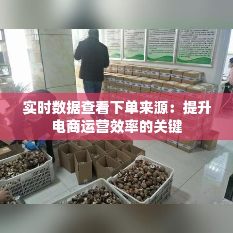 实时数据查看下单来源：提升电商运营效率的关键