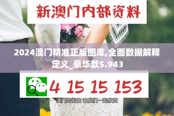 2024澳门精准正版图库,全面数据解释定义_豪华款5.943