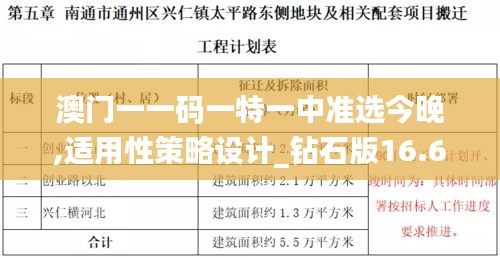 澳门一一码一特一中准选今晚,适用性策略设计_钻石版16.631