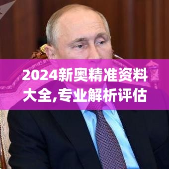 2024新奥精准资料大全,专业解析评估_S13.687