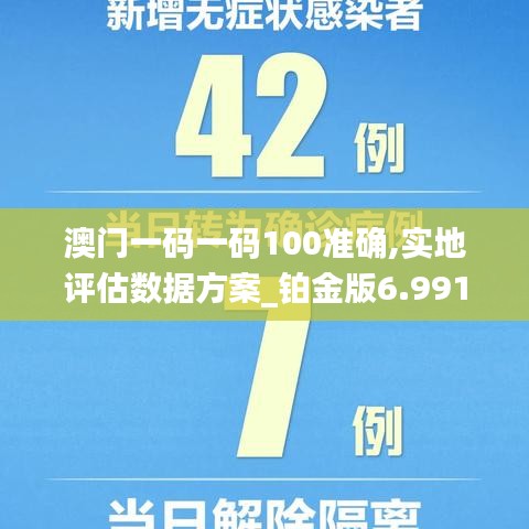 澳门一码一码100准确,实地评估数据方案_铂金版6.991