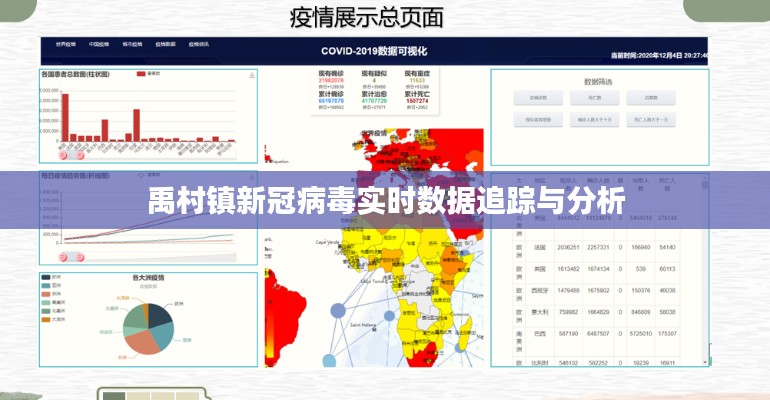 禹村镇新冠病毒实时数据追踪与分析