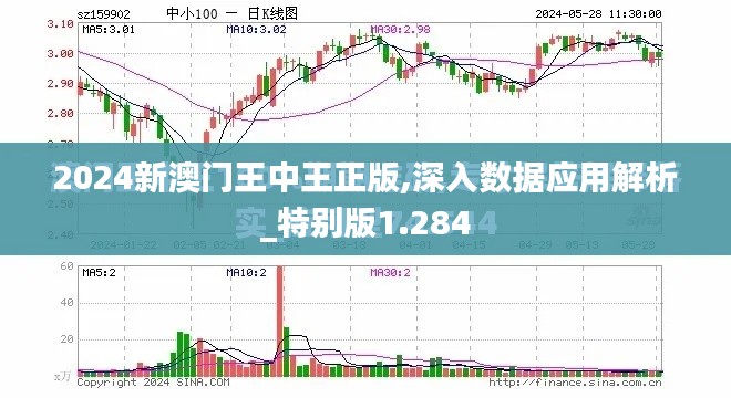 2024新澳门王中王正版,深入数据应用解析_特别版1.284