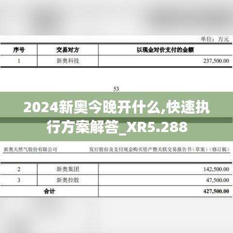 2024新奥今晚开什么,快速执行方案解答_XR5.288