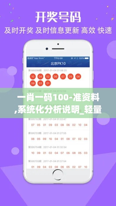 一肖一码100-准资料,系统化分析说明_轻量版5.432