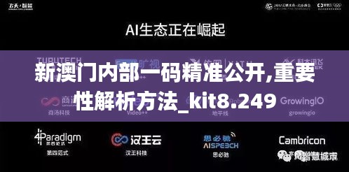 新澳门内部一码精准公开,重要性解析方法_kit8.249