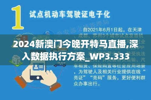 2024新澳门今晚开特马直播,深入数据执行方案_WP3.333