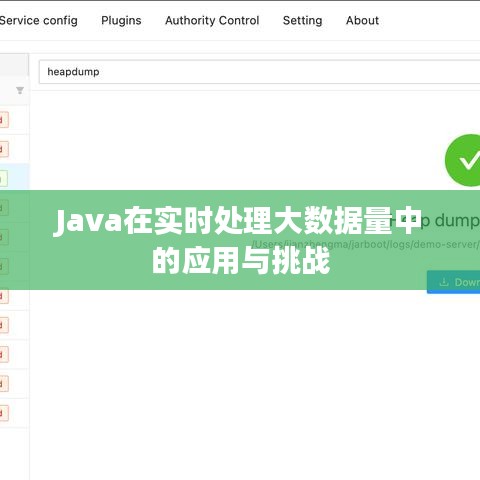 Java在实时处理大数据量中的应用与挑战