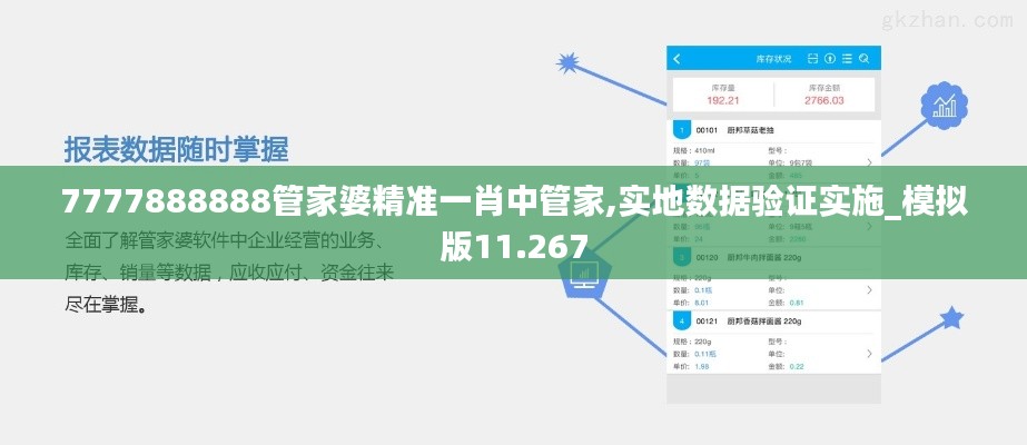 7777888888管家婆精准一肖中管家,实地数据验证实施_模拟版11.267