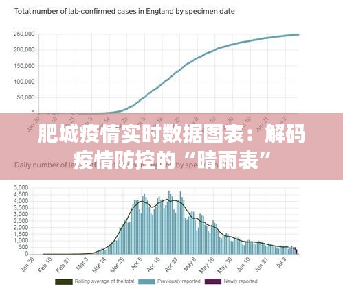 肥城疫情实时数据图表：解码疫情防控的“晴雨表”