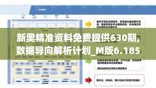 新奥精准资料免费提供630期,数据导向解析计划_M版6.185