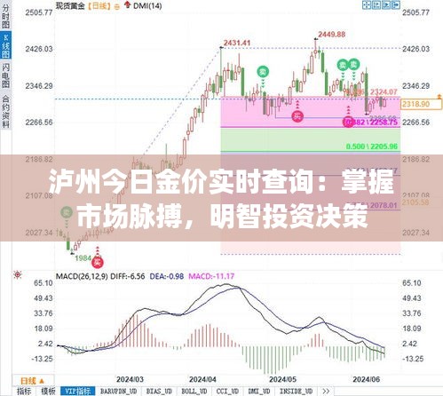 泸州今日金价实时查询：掌握市场脉搏，明智投资决策