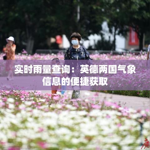 实时雨量查询：英德两国气象信息的便捷获取