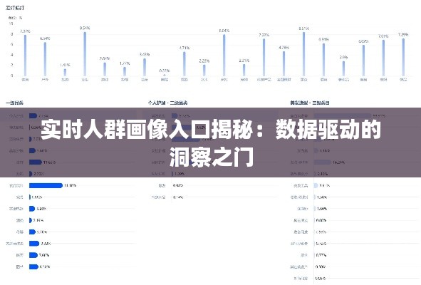 实时人群画像入口揭秘：数据驱动的洞察之门