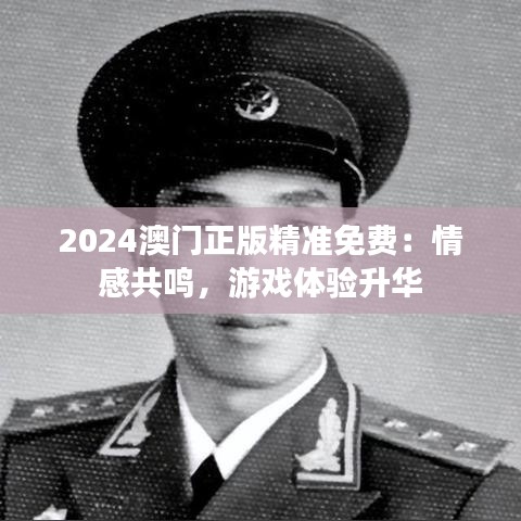 2024澳门正版精准免费：情感共鸣，游戏体验升华