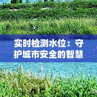 实时检测水位：守护城市安全的智慧之眼