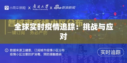 全球实时疫情追踪：挑战与应对