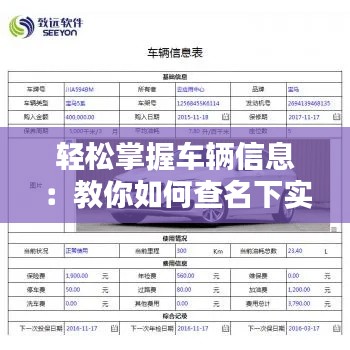 轻松掌握车辆信息：教你如何查名下实时车辆信息