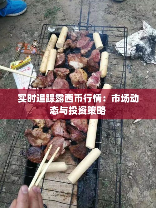 实时追踪露西币行情：市场动态与投资策略