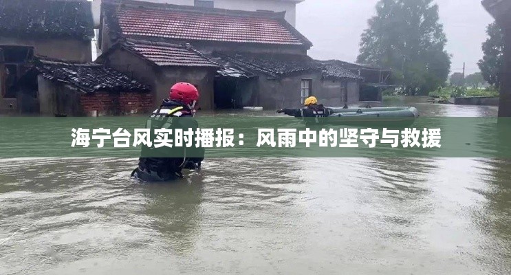 海宁台风实时播报：风雨中的坚守与救援